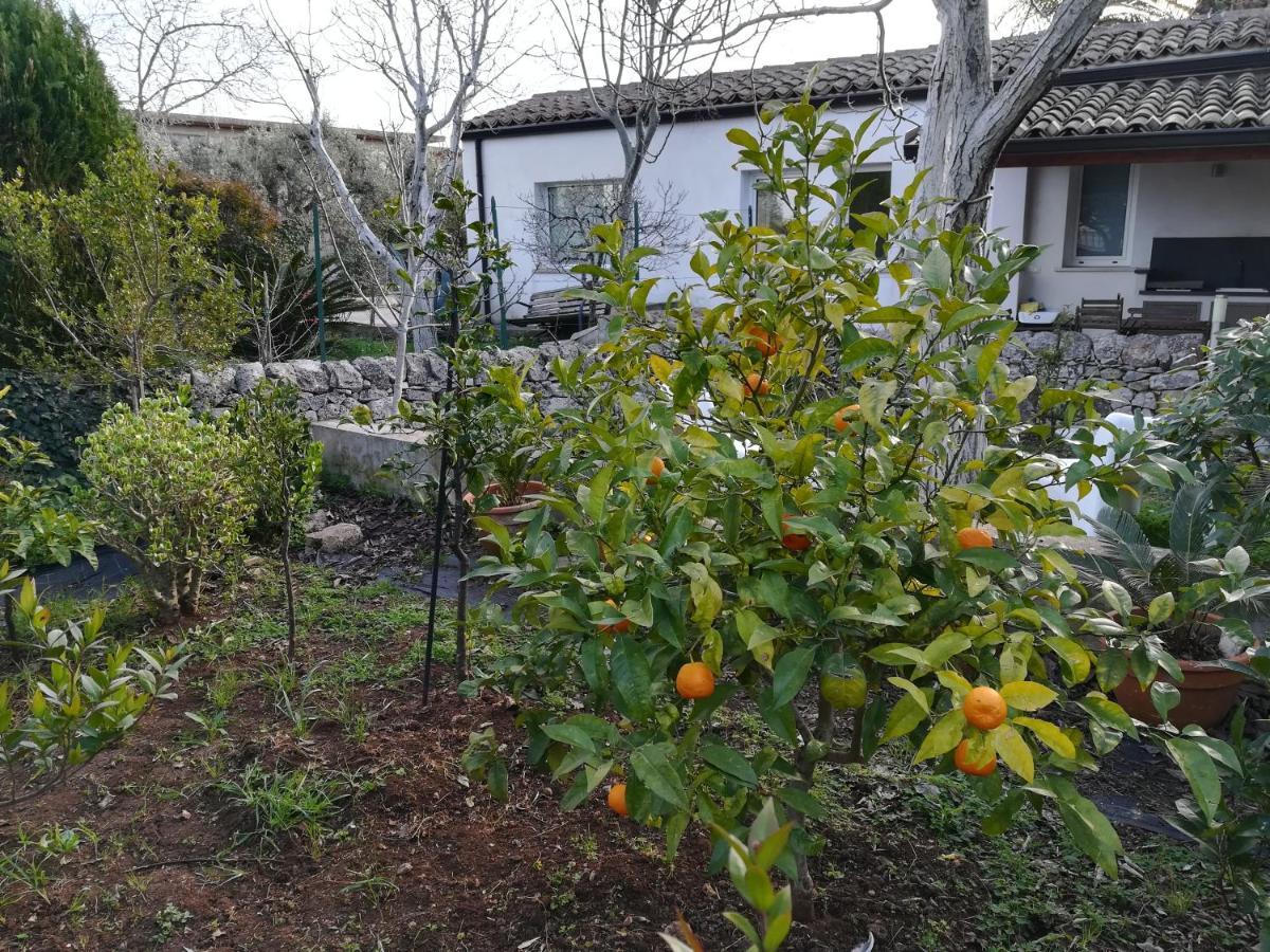 Casa Don Neli, immersa nella natura Modica Esterno foto