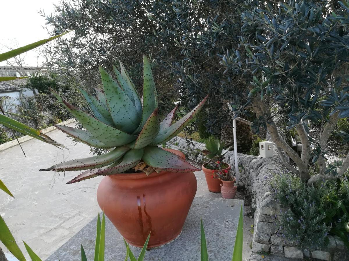 Casa Don Neli, immersa nella natura Modica Esterno foto