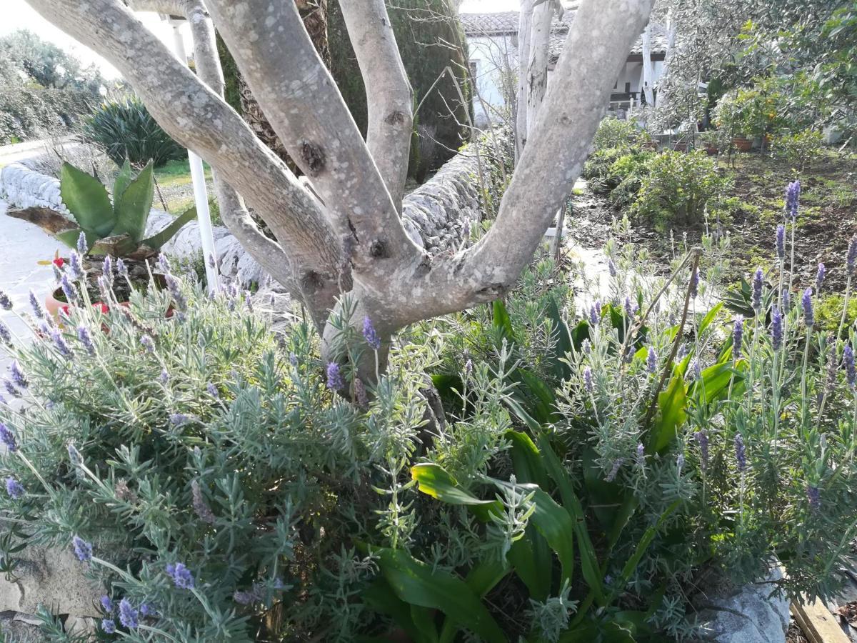 Casa Don Neli, immersa nella natura Modica Esterno foto