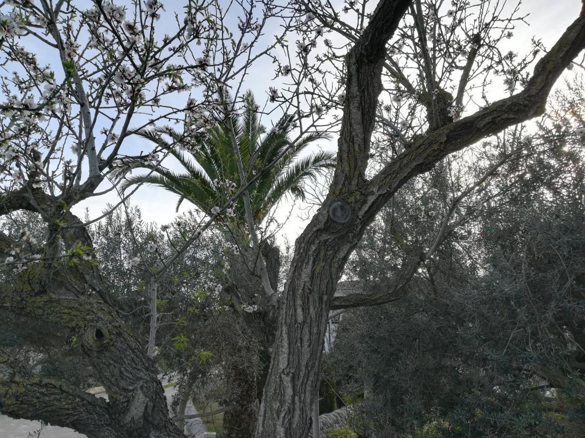 Casa Don Neli, immersa nella natura Modica Esterno foto